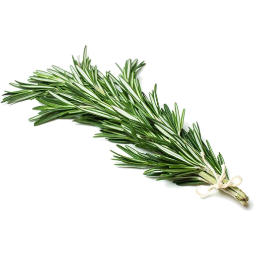 Rosemary